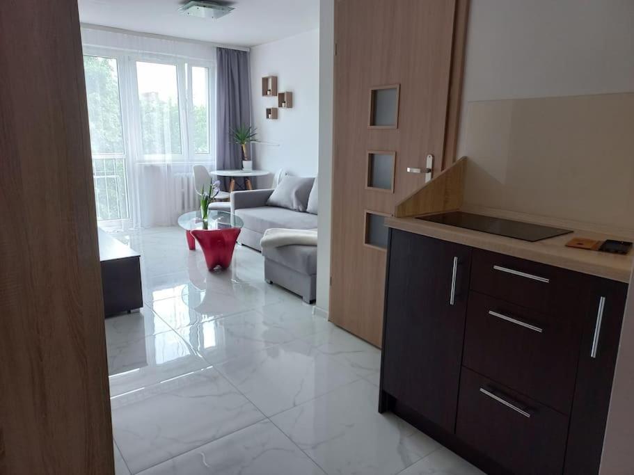 Kawalerka W Centrum Wadowice Luaran gambar